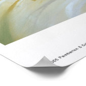 Poster Le Petit Pêcheur (Coin)