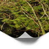 Poster Le phare de Currituck Beach (Coin)