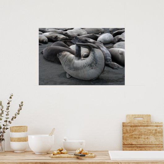 Poster Le phoque de sirène (affiche) (Cuisine)