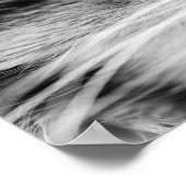 Poster Le pied (Coin)