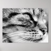 Poster Le pied (Devant)