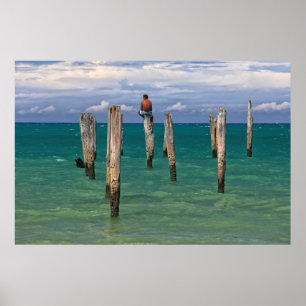 Poster Le pilier en plage de Coqueiros dans Trancoso