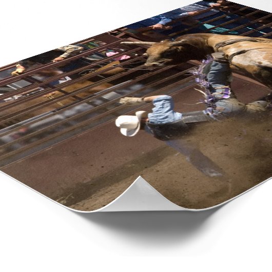 Poster Le pilote Steer tombe (Coin)