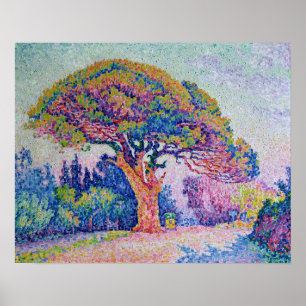 Poster Le pin à Saint-Tropez, 1909