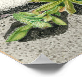 Poster Le pinceau du diable (Coin)