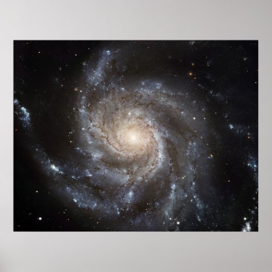 Poster Le Pinwheel Galaxy. (Devant)