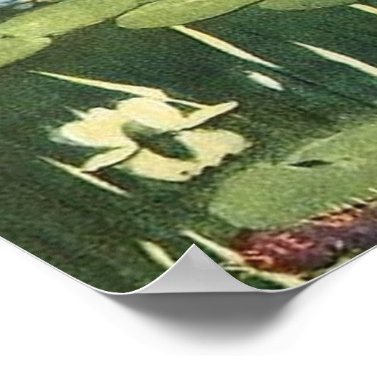 Poster Le pique-nique des fées (Coin)