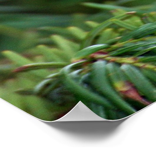 Poster Le plaisir de la nature (Coin)