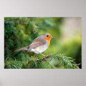 Poster Le plaisir de la nature (Devant)