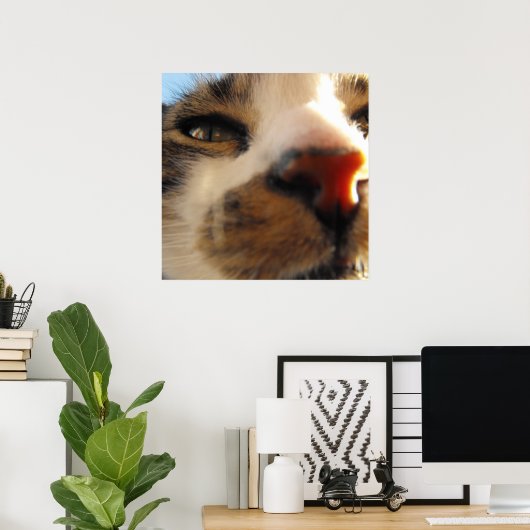 Poster le plus chaton du monde (Bureau à domicile)