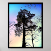 Poster Le Plus Grand Arbre (Devant)