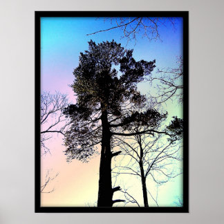 Poster Le Plus Grand Arbre