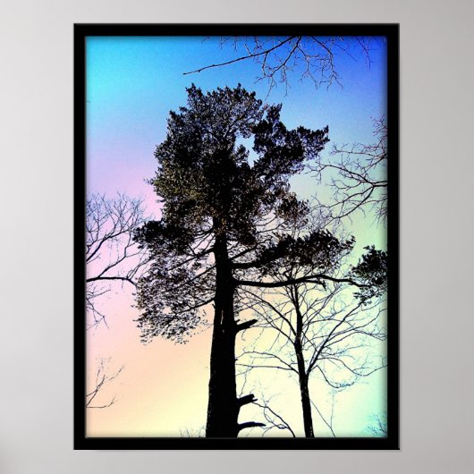 Poster Le Plus Grand Arbre (Devant)