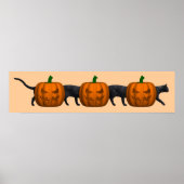 Poster Le plus long chat du monde (Devant)