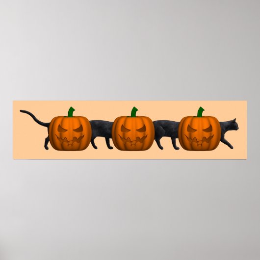 Poster Le plus long chat du monde (Devant)