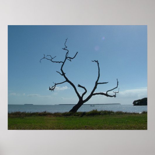 Poster Le Poète (Devant)