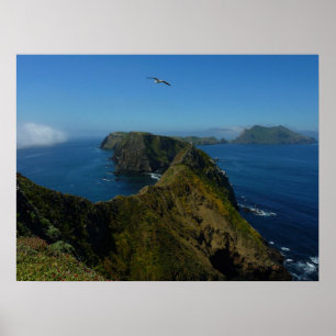 Poster Le point d'inspiration d'Anacapa I dans les îles d