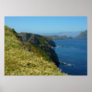 Poster Le point d'inspiration d'Anacapa II aux Channel Is