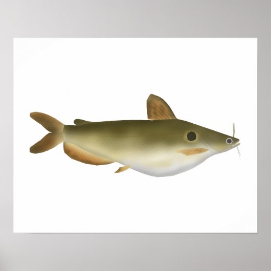 Poster Le poisson-chat de Günther (Devant)
