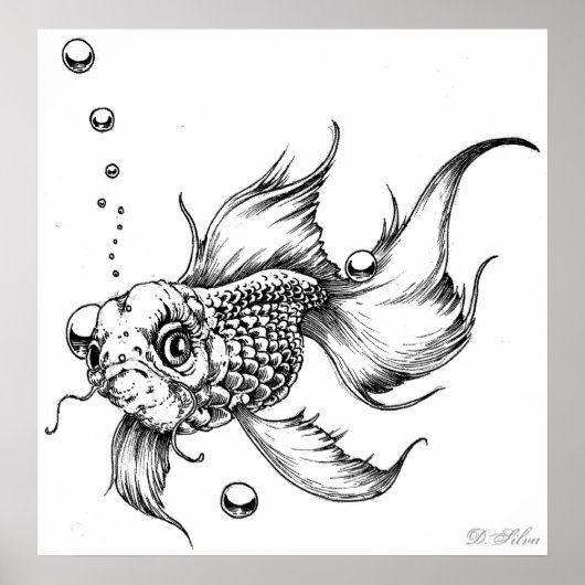 Poster Le poisson combattant (Devant)