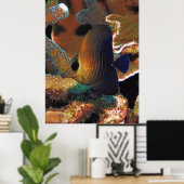 Poster Le poisson dans le corail (Bureau à domicile)