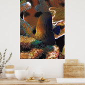 Poster Le poisson dans le corail (Cuisine)