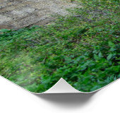 Poster Le pont de Beggar, Glaisdale (Coin)