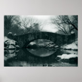 Poster Le pont de Central Park (Devant)
