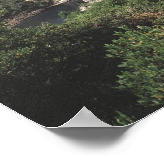 Poster Le pont du Gard (Coin)