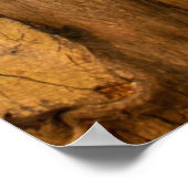 Poster Le pont du Golden Gate | Arbres de la vue Overlook (Coin)