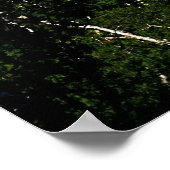 Poster Le port de Skyline (Coin)