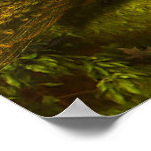 Poster le portail (Coin)