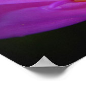 Poster Le Poser (Coin)