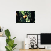 Poster Le poulain arabe dans les arbres (Bureau à domicile)