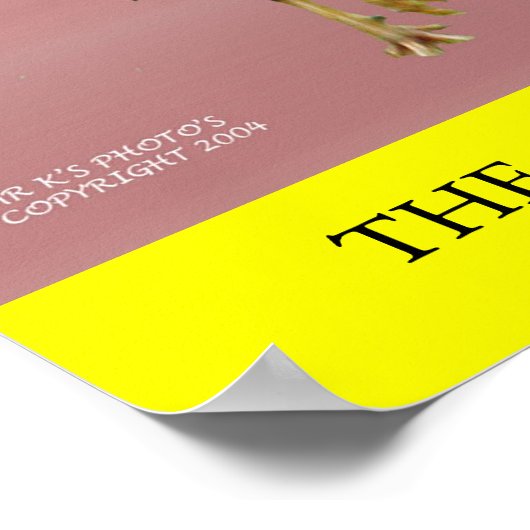 POSTER LE POULET (Coin)