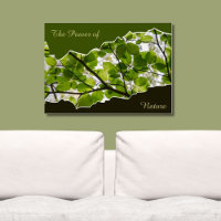 Le Pouvoir De La Nature, La Photo De Foliage D'Arb