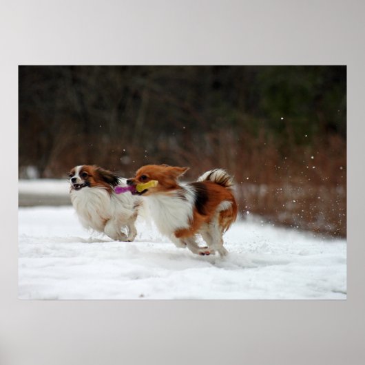 Poster Le premier jour de l'hiver 2012 (Devant)