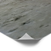 Poster Le premier vol (Coin)