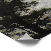 Poster Le président George Washington, Mount Rushmore (Coin)