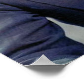 Poster Le président John Fitzgerald Kennedy (Coin)