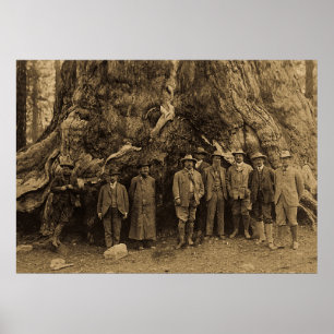 Poster Le président Roosevelt et John Muir California Sep