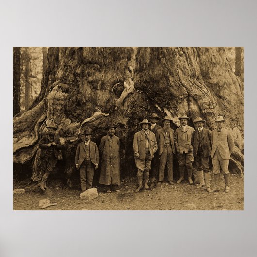 Poster Le président Roosevelt et John Muir California Sep (Devant)