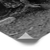 Poster Le président Roosevelt et John Muir Californie 190 (Coin)