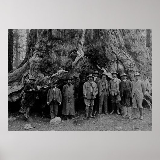 Poster Le président Roosevelt et John Muir Californie 190 (Devant)