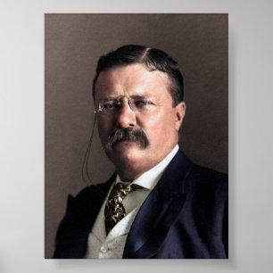 Poster Le président Theodore Roosevelt