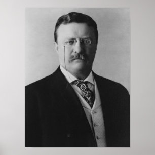 Poster Le Président Theodore Roosevelt - 1904