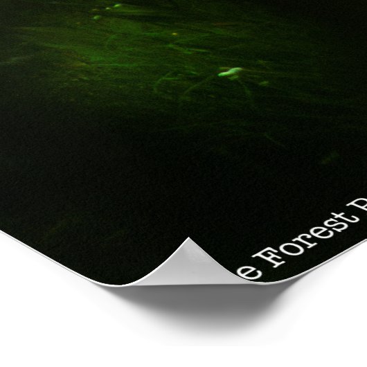 Poster Le Prince Forêt (Coin)