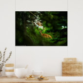 Poster Le Prince Forêt (Cuisine)