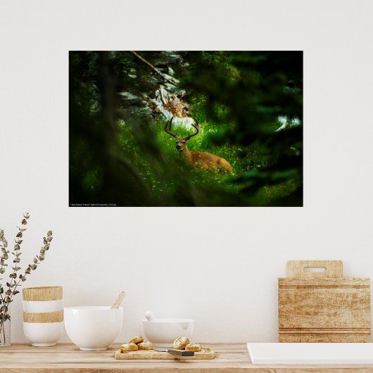 Poster Le Prince Forêt (Cuisine)