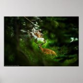 Poster Le Prince Forêt (Devant)